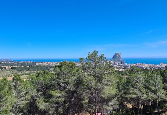 4058-Plot-en-Calpe-01